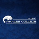 Whales College